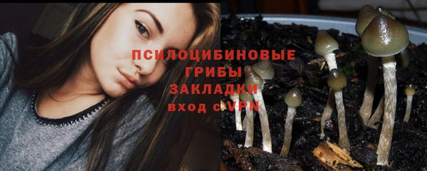 спиды Зеленодольск