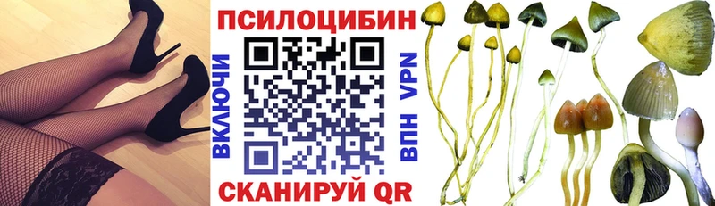 Купить где  Карабулак  Псилоцибиновые грибы ЛСД 